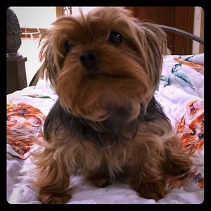 NOT FOR SELL. JUST SHARING. ❤️Meet your posher